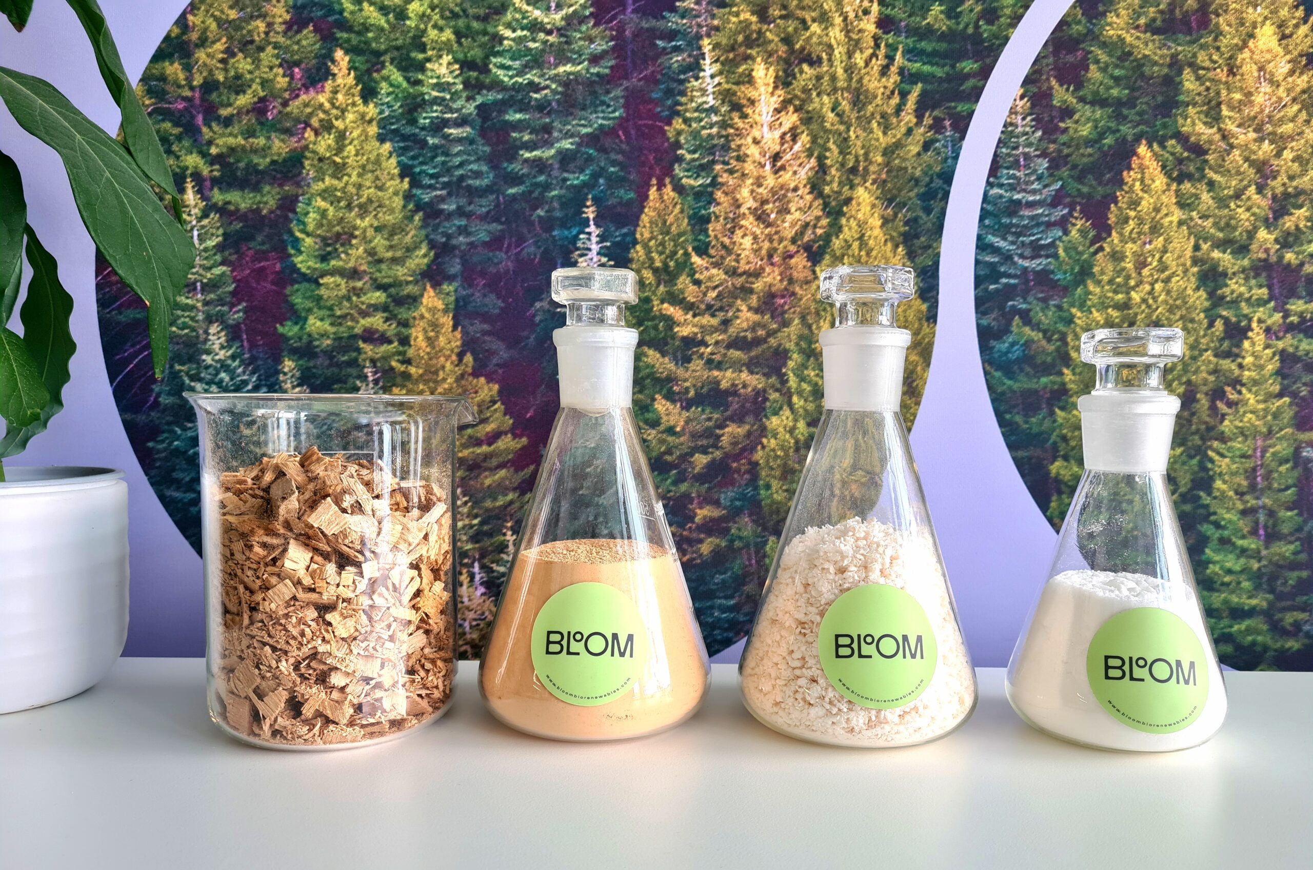 Bloom Biorenewables – replacing oil with plants - CleantechAlps